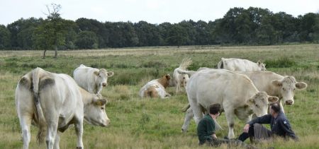 Exclusieve leverancier van Natuurkoe!