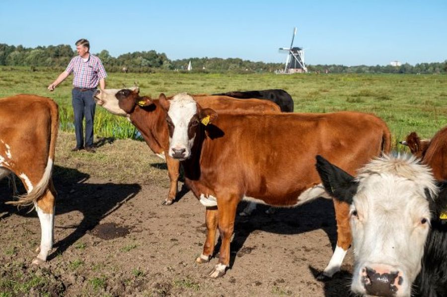 Heeft u het al gelezen? Onze baas in de "Boerderij"!